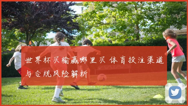 世界杯买输赢哪里买 体育投注渠道与合规风险解析