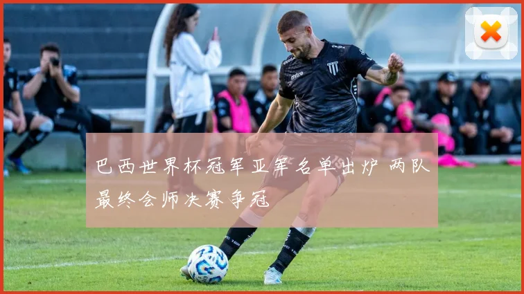 巴西世界杯冠军亚军名单出炉 两队最终会师决赛争冠