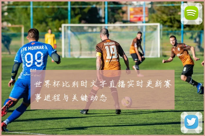 世界杯比利时文字直播实时更新赛事进程与关键动态
