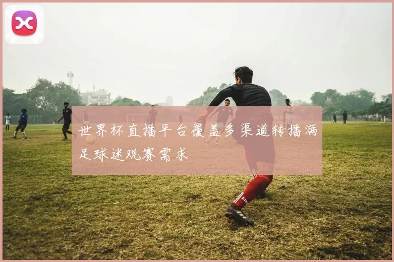 世界杯直播平台覆盖多渠道转播满足球迷观赛需求