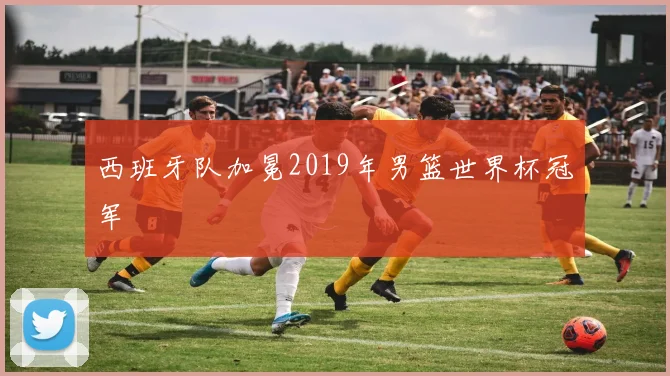 西班牙队加冕2019年男篮世界杯冠军