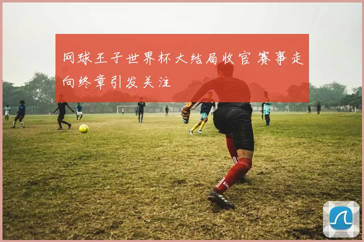 网球王子世界杯大结局收官 赛事走向终章引发关注
