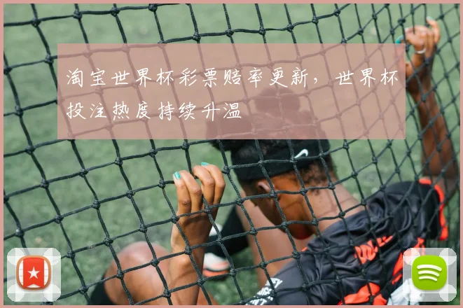 淘宝世界杯彩票赔率更新,世界杯投注热度持续升温